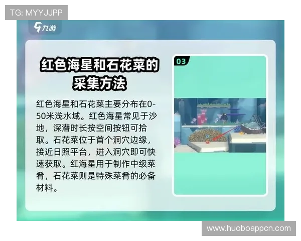 海星体育官网平台游戏攻略与技巧分享助你快速提升游戏水平赢取更多胜利 海星体育官网平台游戏攻略与技巧分享助你快速提升游戏水平赢取更多胜利