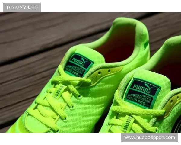 飞速体育提供专业的体育装备评测与购买指南满足用户多样化需求